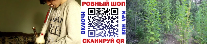 Купить закладку Кодеин  Alpha-PVP  Мефедрон  Гашиш  Псилоцибиновые грибы  Хадыженск