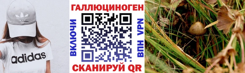 Купить  Хадыженск  Галлюциногенные грибы мицелий 