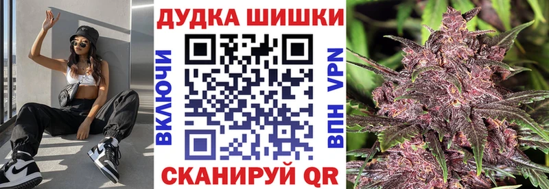 Купить где  Хадыженск  Бошки марихуана OG Kush 